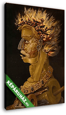 Tűz, allegorikus portré - vászonkép 3D látványterv