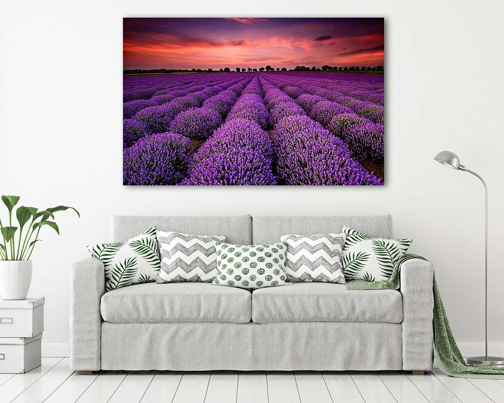 Lenyűgöző táj levendulamezőről, napnyugtakor - vászonkép, falikép vásárlás Lenyűgöző táj levendulamezőről, napnyugtakor (poszter) - vászonkép, falikép otthonra és irodába