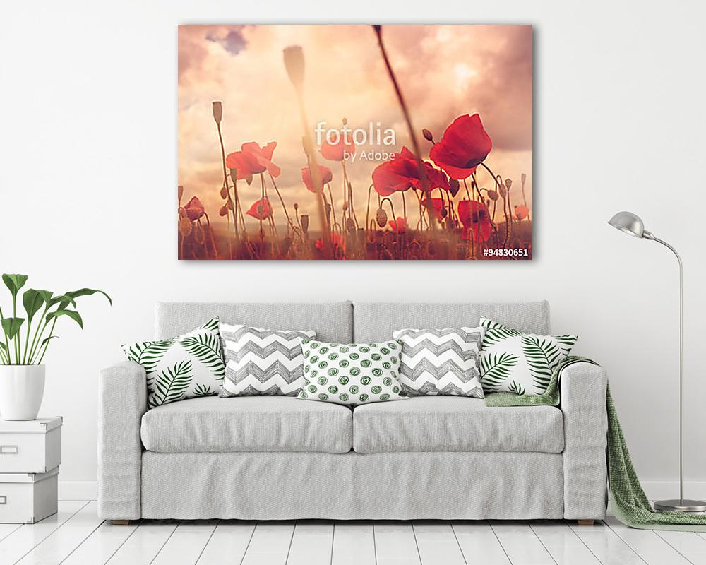 pipacsok (keretezett kép) - vászonkép, falikép otthonra és irodába