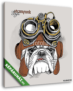 The image of the bulldog portrait in the Steampunk helmet. Vecto - vászonkép 3D látványterv