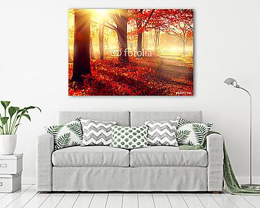 Őszi jelenet. Gyönyörű őszi park napfényben (vászonkép) - vászonkép, falikép otthonra és irodába