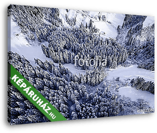 Tűleveles erdő télen (légi felvétel) - vászonkép 3D látványterv