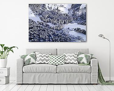 Tűleveles erdő télen (légi felvétel) (vászonkép) - vászonkép, falikép otthonra és irodába