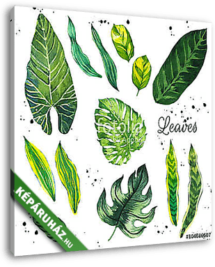Illustration with tropical leaves. Watercolor set of green leave - vászonkép 3D látványterv