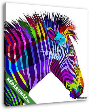 Színes zebra illusztráció - vászonkép 3D látványterv