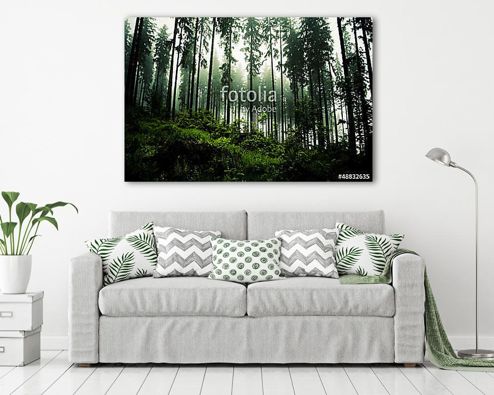 dark forrest - vászonkép, falikép vásárlás dark forrest (vászonkép) - vászonkép, falikép otthonra és irodába