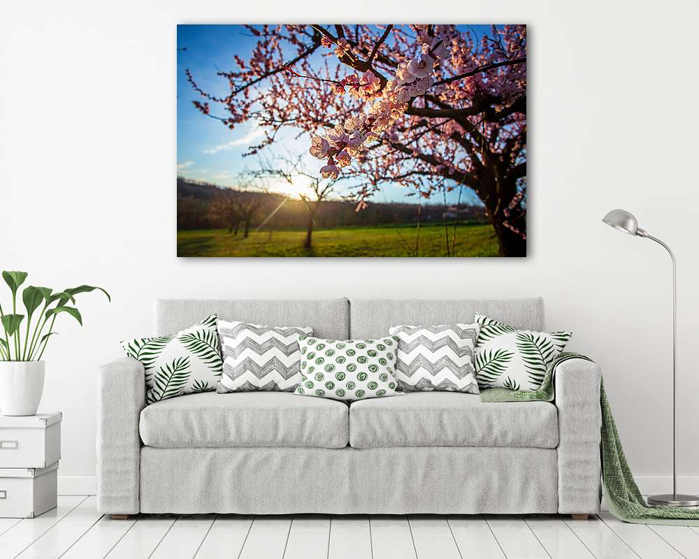 Sárgabarackfa virágzás (Karád) (vászonkép) - vászonkép, falikép otthonra és irodába