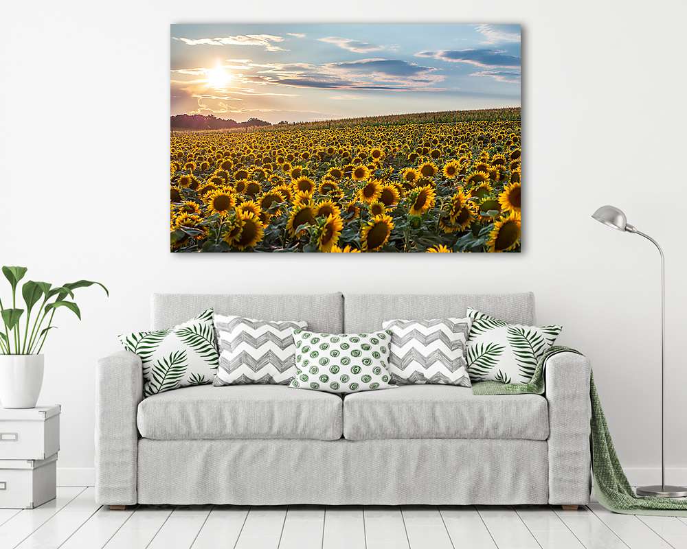 Nyári naplemente (Somogy) (bögre) - vászonkép, falikép otthonra és irodába