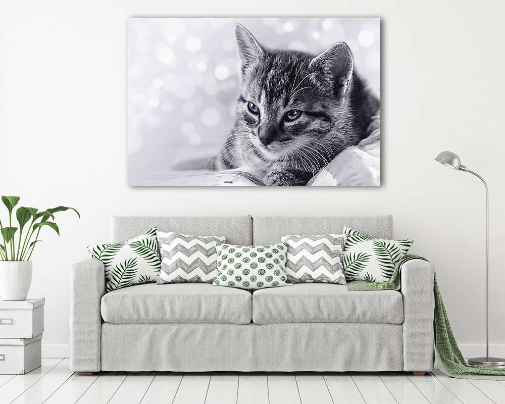 Sweet kitten bokeh (keretezett kép) - vászonkép, falikép otthonra és irodába