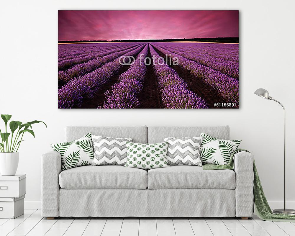 Lenyűgöző levendula-tájkép naplementekor - vászonkép, falikép vásárlás Lenyűgöző levendula-tájkép naplementekor (vászonkép) - vászonkép, falikép otthonra és irodába
