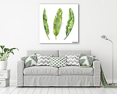 Watercolor set of banana leaf isolated on white background. (vászonkép) - vászonkép, falikép otthonra és irodába