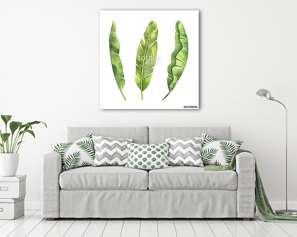 Watercolor set of banana leaf isolated on white background. - vászonkép, falikép vásárlás Watercolor set of banana leaf isolated on white background. (vászonkép) - vászonkép, falikép otthonra és irodába