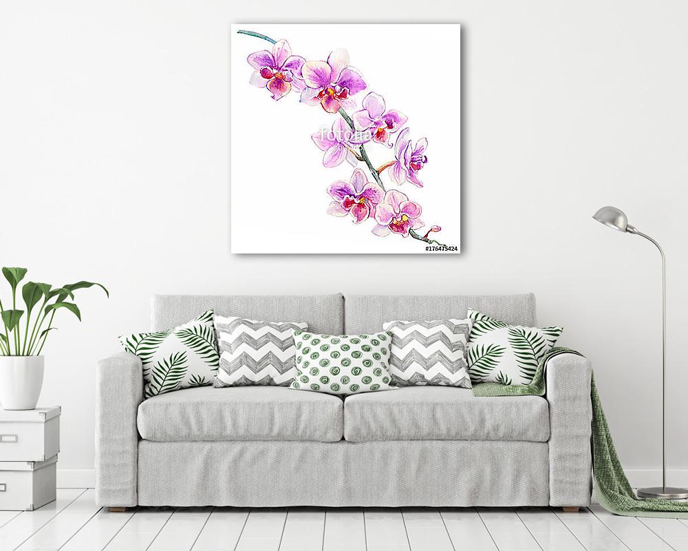 Orchid flowers watercolor hand drawn botanical illustration isol - vászonkép, falikép vásárlás Orchid flowers watercolor hand drawn botanical illustration isol (vászonkép) - vászonkép, falikép otthonra és irodába