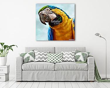 Ara papagáj (vászonkép) - vászonkép, falikép otthonra és irodába