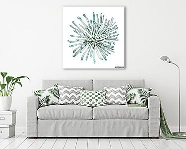 Succulent isolated on a white background. Watercolor hand drawn illustration. (vászonkép) - vászonkép, falikép otthonra és irodába