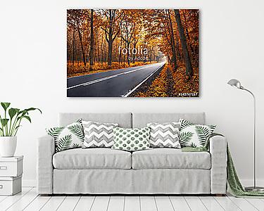 Autumn road (vászonkép) - vászonkép, falikép otthonra és irodába