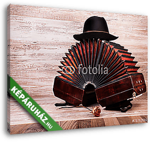 Bandoneon, tangóeszköz és kunyhó - vászonkép 3D látványterv