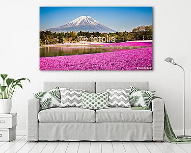 moha phlox a mount fuji-val a háttérben (vászonkép) - vászonkép, falikép otthonra és irodába