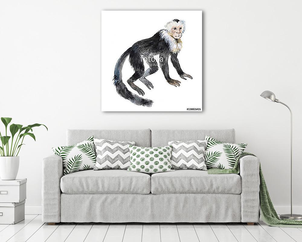 Kapucinus majom (vászonkép) - vászonkép, falikép otthonra és irodába