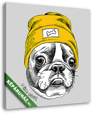 Portrait of French bulldog in a yellow Hipster hat. Vector illus - vászonkép 3D látványterv