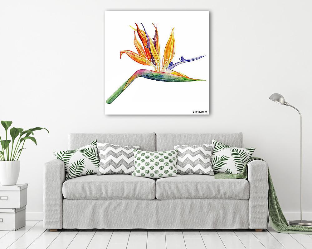 Bird of paradise flower, Strelitzia reginae, crane flower hand d - vászonkép, falikép vásárlás Bird of paradise flower, Strelitzia reginae, crane flower hand d (vászonkép) - vászonkép, falikép otthonra és irodába