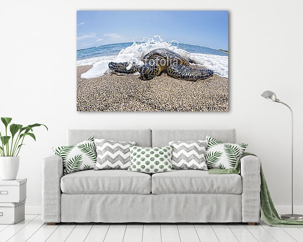 Zöld teknős a homokos strandon Hawaii-ban (bögre) - vászonkép, falikép otthonra és irodába