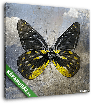 butterfly - vászonkép 3D látványterv