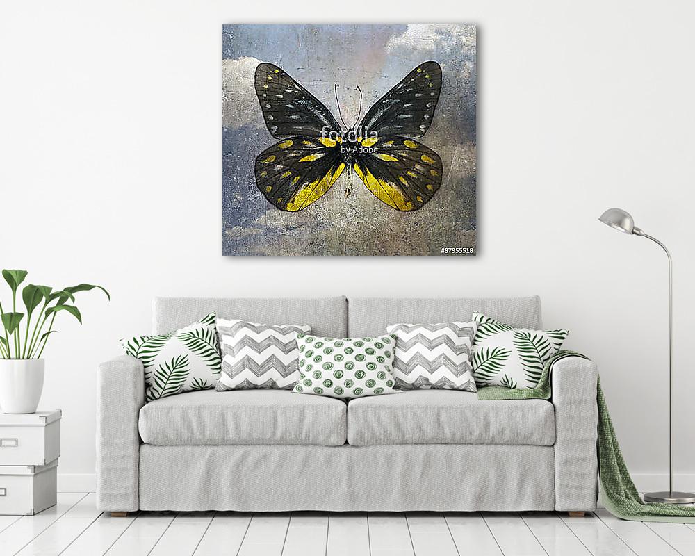 butterfly (vászonkép) - vászonkép, falikép otthonra és irodába