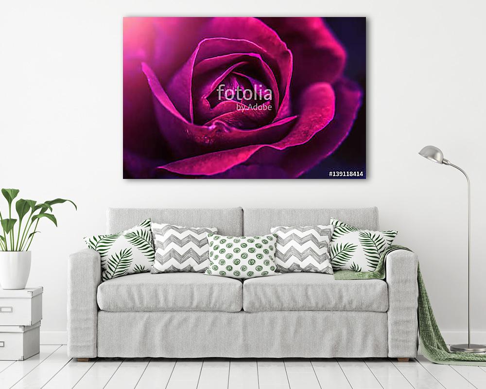 The scarlet rose (keretezett kép) - vászonkép, falikép otthonra és irodába