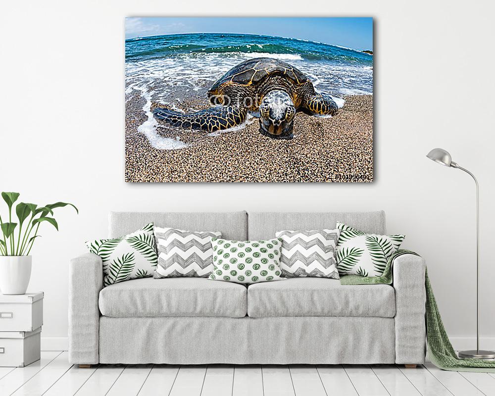 A zöld teknős Hawaiiba érkezik (bögre) - vászonkép, falikép otthonra és irodába