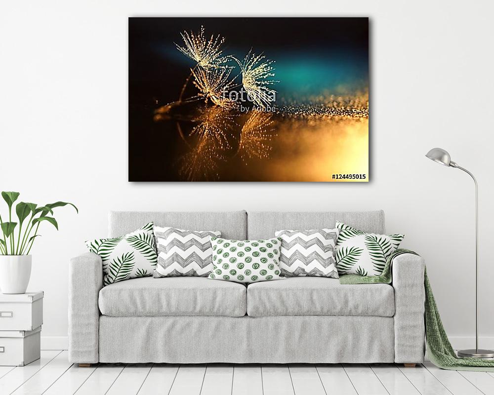 Magok a pitypang tükör visszaverődését. Sötét háttér pitypang be - vászonkép, falikép vásárlás Magok a pitypang tükör visszaverődését. Sötét háttér pitypang be (poszter) - vászonkép, falikép otthonra és irodába