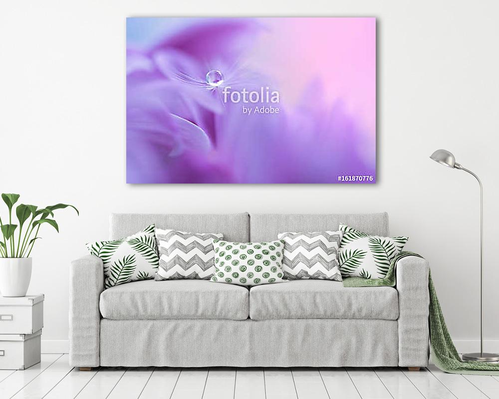 The seed of a dandelion with water drop on purple flower. Macro  - vászonkép, falikép vásárlás The seed of a dandelion with water drop on purple flower. Macro  (vászonkép) - vászonkép, falikép otthonra és irodába