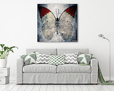 butterfly (vászonkép) - vászonkép, falikép otthonra és irodába