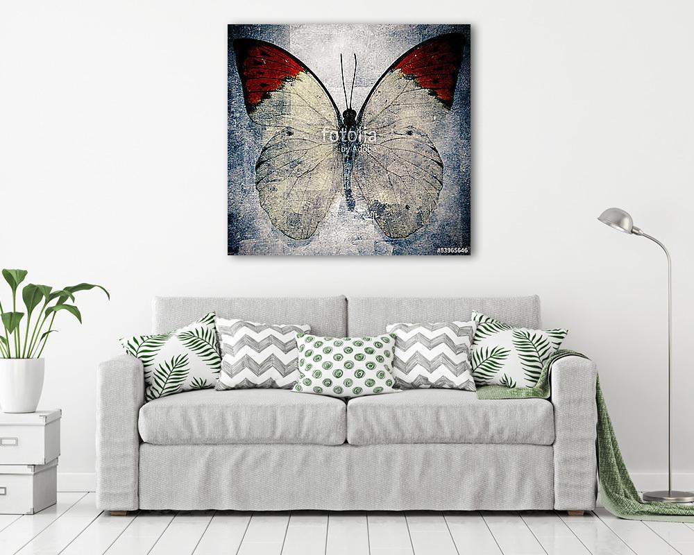 butterfly (vászonkép) - vászonkép, falikép otthonra és irodába
