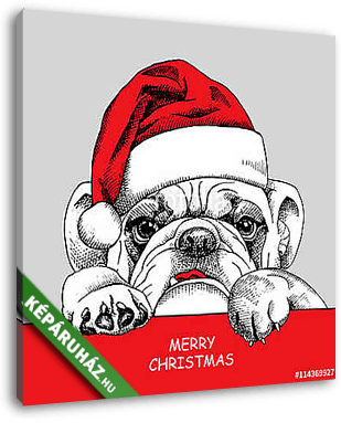 The poster of portrait bulldog in the santas hat. Vector illustr - vászonkép 3D látványterv