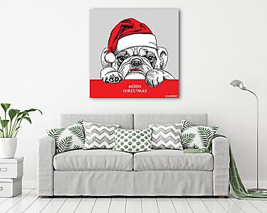 The poster of portrait bulldog in the santas hat. Vector illustr (vászonkép) - vászonkép, falikép otthonra és irodába