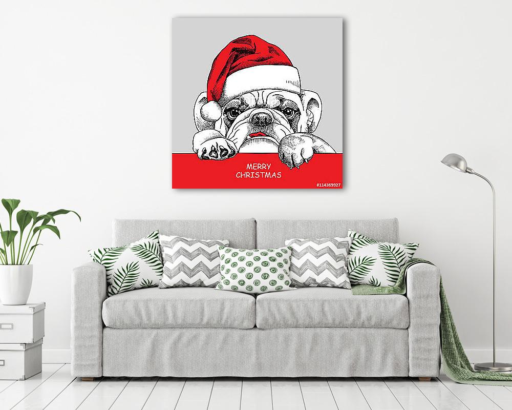 The poster of portrait bulldog in the santas hat. Vector illustr (poszter) - vászonkép, falikép otthonra és irodába
