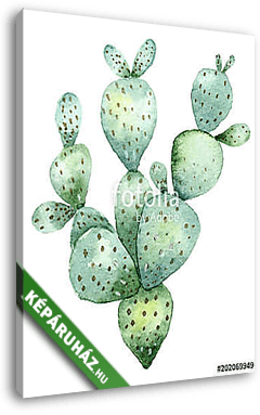 Cactus in watercolor - vászonkép 3D látványterv