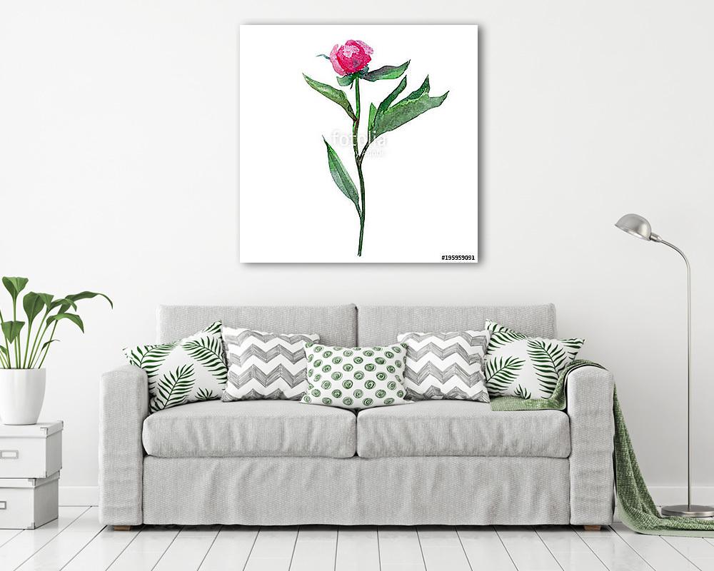 Watercolor peony flower, bud hand drawn illustration isolated on (vászonkép) - vászonkép, falikép otthonra és irodába