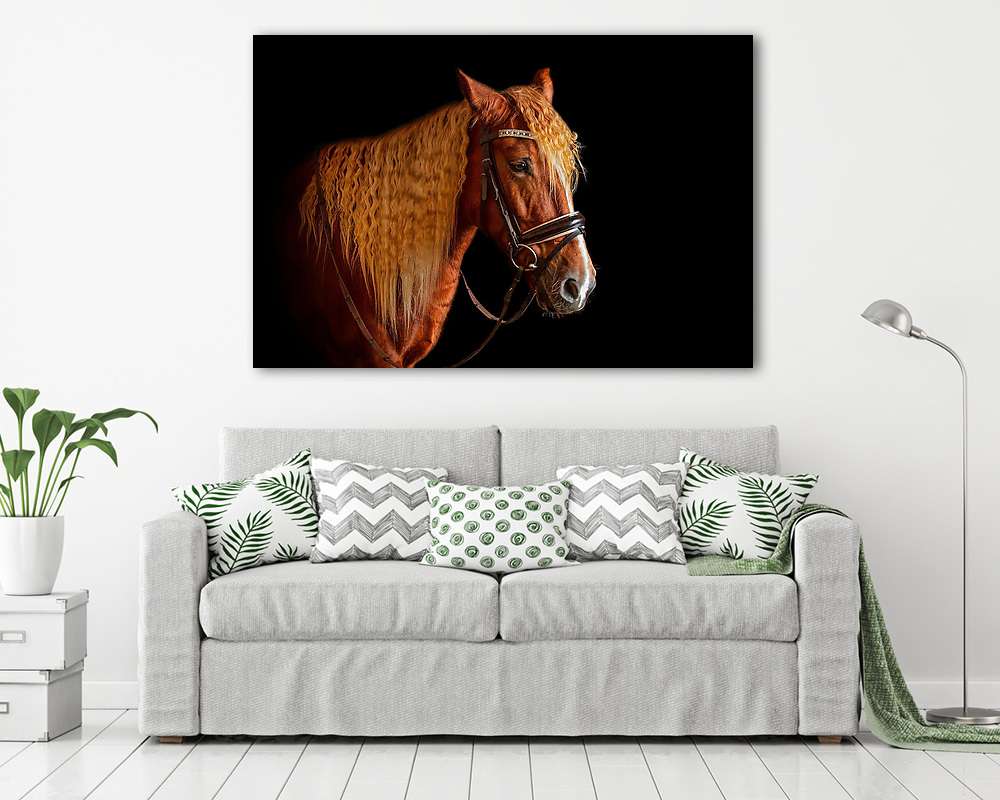 Ló fekete háttéren  - vászonkép, falikép vásárlás Ló fekete háttéren  (vászonkép) - vászonkép, falikép otthonra és irodába