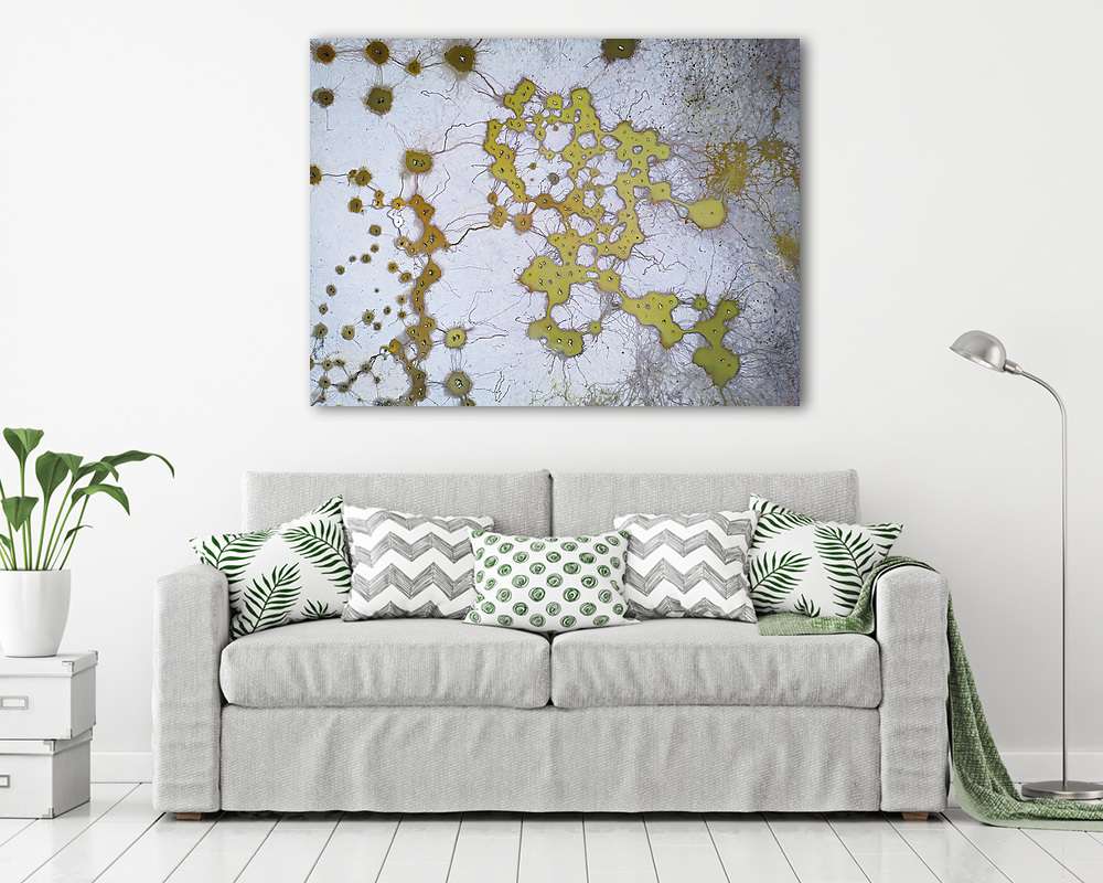 Leeresztett halastó (Rádpuszta) - vászonkép, falikép vásárlás Leeresztett halastó (Rádpuszta) (vászonkép) - vászonkép, falikép otthonra és irodába