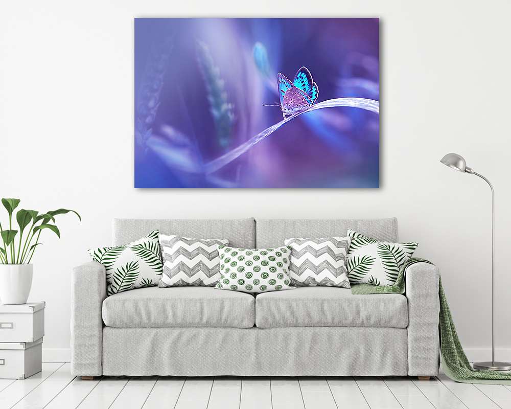 Gyönyörű kék pillangó a fűszálon a természetben puha - vászonkép, falikép vásárlás Gyönyörű kék pillangó a fűszálon a természetben puha (vászonkép) - vászonkép, falikép otthonra és irodába