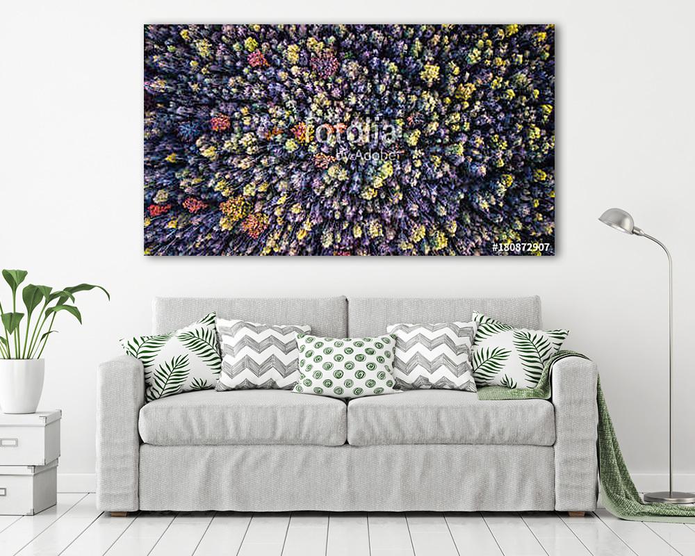 Őszi erdő drónnal fotózva - vászonkép, falikép vásárlás Őszi erdő drónnal fotózva (vászonkép) - vászonkép, falikép otthonra és irodába