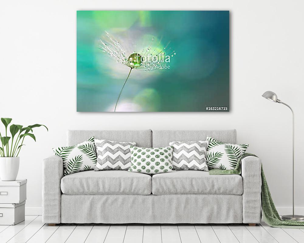 A drop of green on the dandelion seed closeup.Beautiful backgrou (vászonkép) - vászonkép, falikép otthonra és irodába
