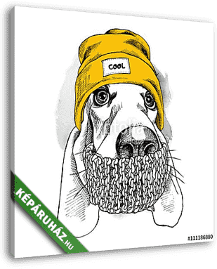 Portrait of Basset Hound dog in a Hipster hat and with scarf. Ve - vászonkép 3D látványterv