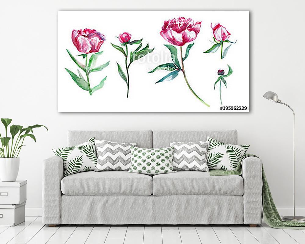 Watercolor pink peony flower set, bud, leaf hand drawn painting  (vászonkép) - vászonkép, falikép otthonra és irodába