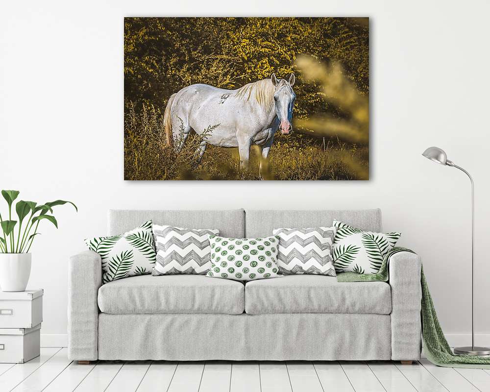 Lovas csendélet - vászonkép, falikép vásárlás Lovas csendélet (vászonkép) - vászonkép, falikép otthonra és irodába