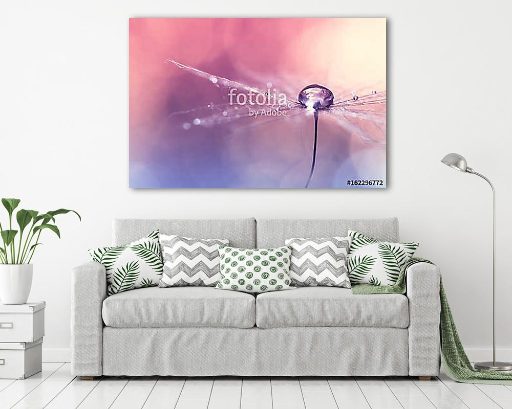 Dandelion with water drop on pink blue background with bokeh. Be - vászonkép, falikép vásárlás Dandelion with water drop on pink blue background with bokeh. Be (vászonkép) - vászonkép, falikép otthonra és irodába