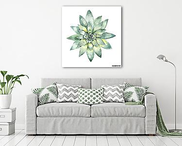 succulent in watercolor (vászonkép) - vászonkép, falikép otthonra és irodába