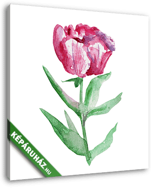 Watercolor pink peony flower, green leaf hand drawn painting ill - vászonkép 3D látványterv